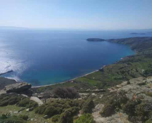 Paliopolis_IMG-20210327-WA0022 Paliopolis_IMG-20210327-WA0022