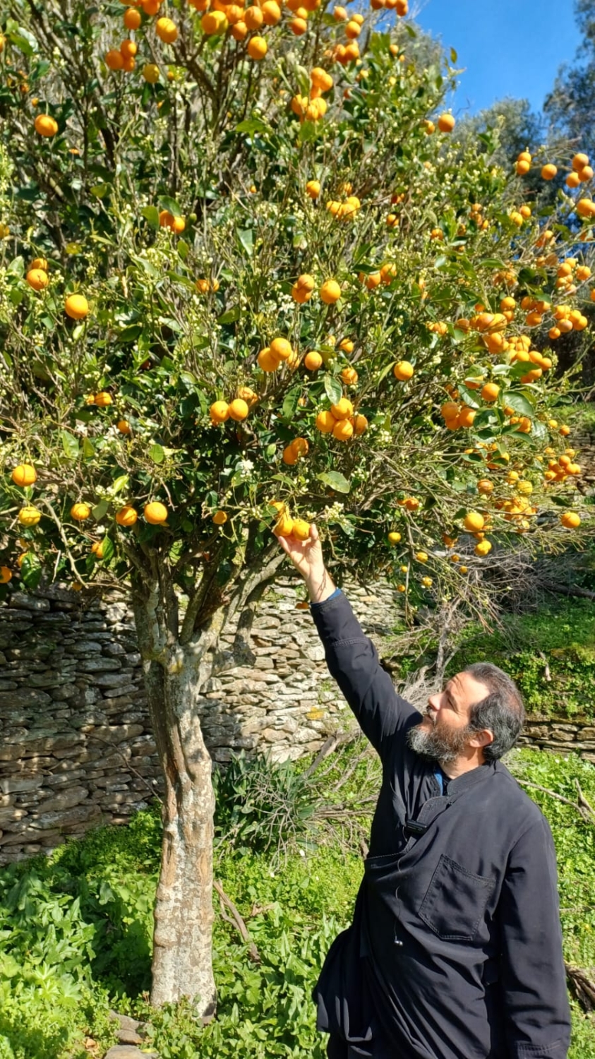 2024-19-03_14-42 - Andros Routes