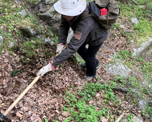 Αρχείο εικόνας WhatsApp 2024-04-09 στις 14.02.16_a2dd1efe