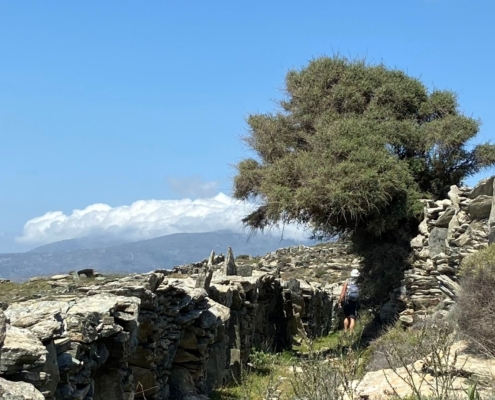 Αρχείο εικόνας WhatsApp 2024-04-12 στις 19.38.04_29b92bcd