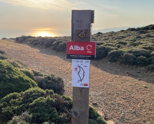 Αρχείο εικόνας WhatsApp 2024-04-14 στις 07.55.55_9d962898