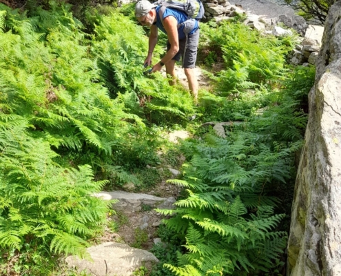 Αρχείο εικόνας WhatsApp 2024-04-16 στις 16.11.53_75bec203