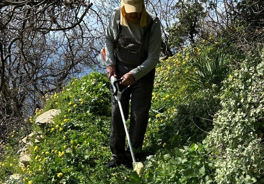 Path cleaning FF