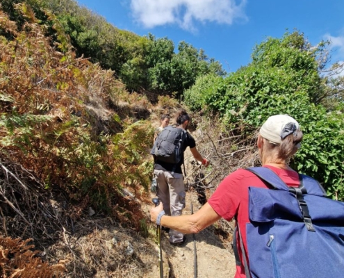 Work_Sep_2026 (1)