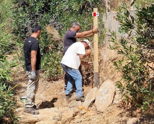 Work_Sep_2026 FF