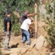 Work_Sep_2026 FF